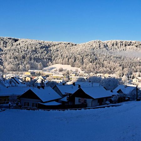 Haus Am Schloss Блайбург Экстерьер фото
