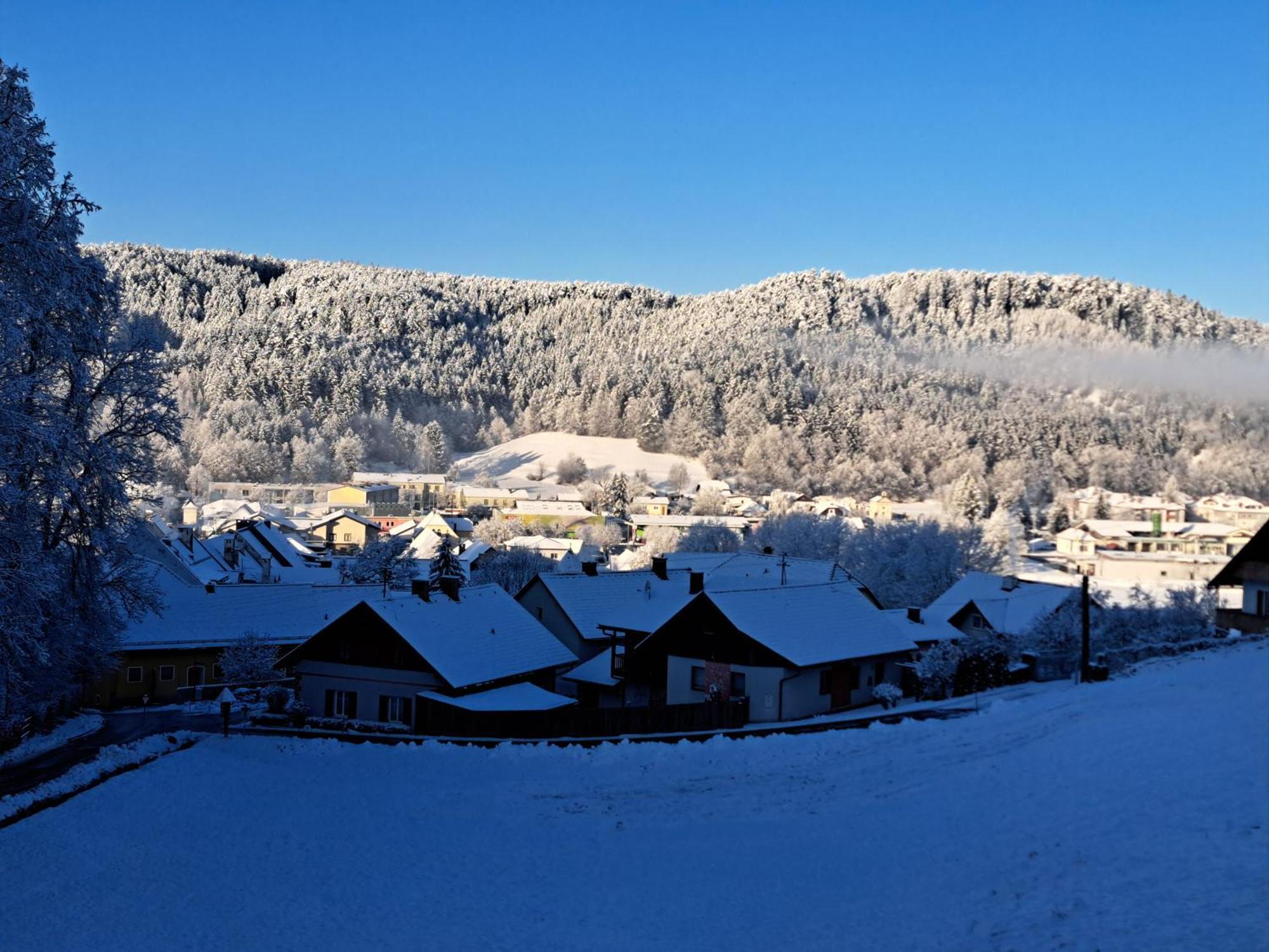 Haus Am Schloss Блайбург Экстерьер фото